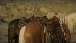 That Dirty Black Bag - Season 01 Episode 03